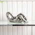 Chrome Chain Link